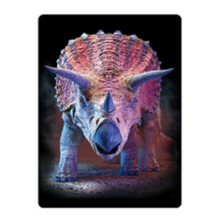 Obrázek z Pohlednice 3D 16cm - triceratops (25) 